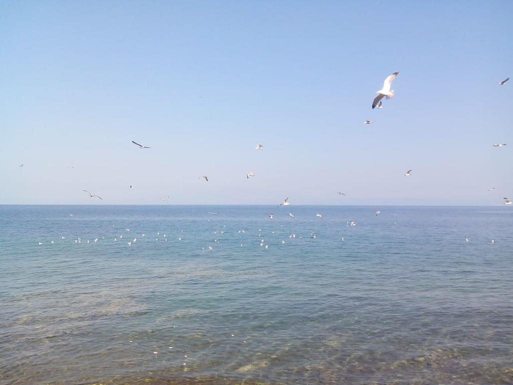 Roula'S House Villa Skála Kallirákhis Dış mekan fotoğraf